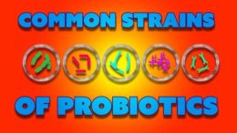 probiotics trains